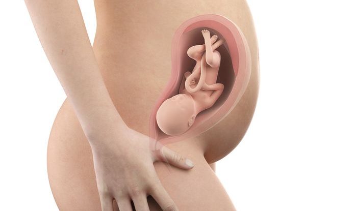 Těhotenství týden po týdnu, 30. týden těhotenství