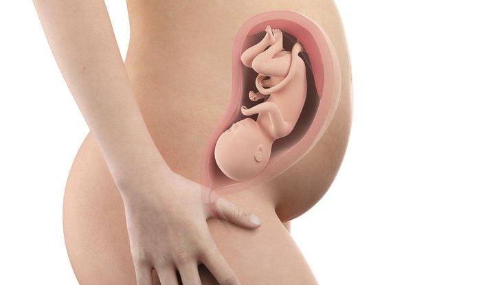 Těhotenství týden po týdnu, 31. týden těhotenství