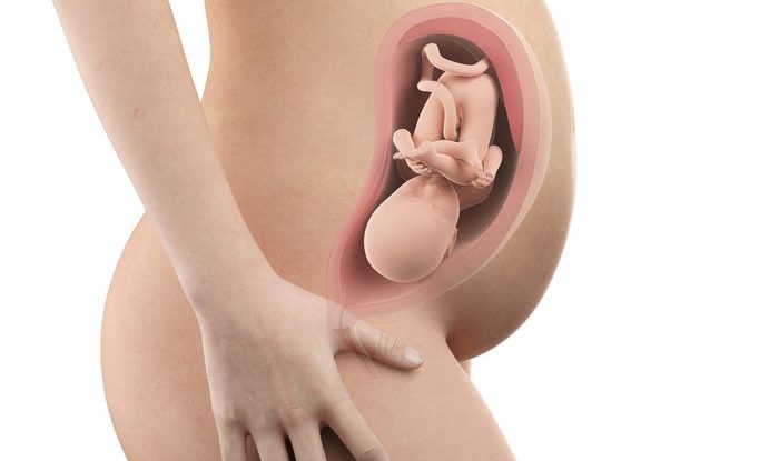 Těhotenství týden po týdnu, 32. týden těhotenství