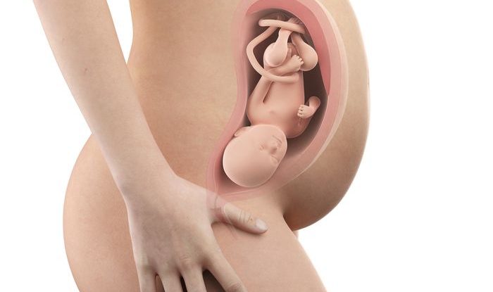 Těhotenství týden po týdnu, 34. týden těhotenství