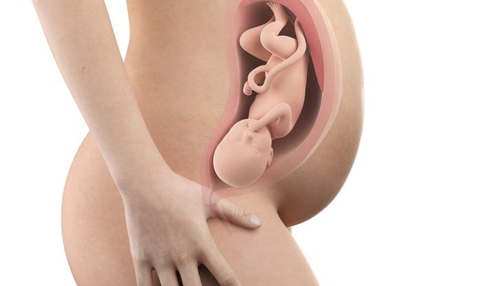 Těhotenství týden po týdnu, 35. týden těhotenství