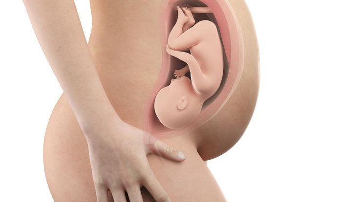 Těhotenství týden po týdnu, 36. týden těhotenství