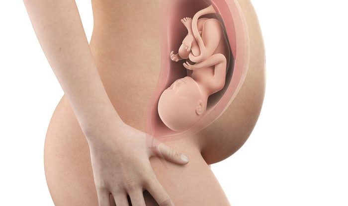 Těhotenství týden po týdnu, 37. týden těhotenství