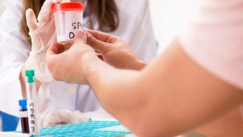 Clostilbegyt a inseminace
