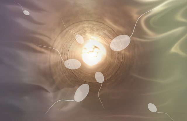 Spermiogram