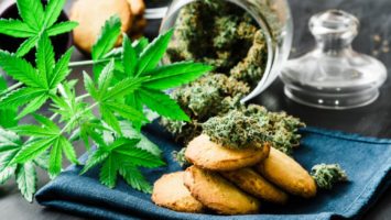 Marihuana v těhotenství a plodnost